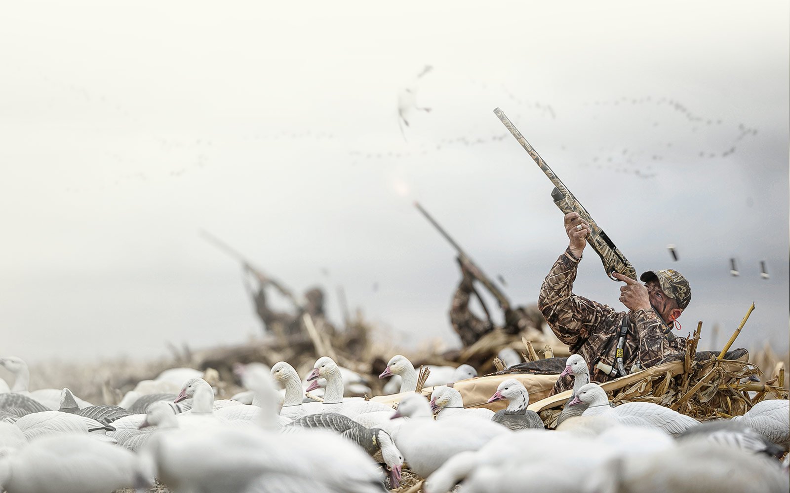 Spring Snow Goose Hunting Fall Waterfowl Hunting Guided Hunting