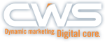 CWS: Dynamic Marketing Digital Core