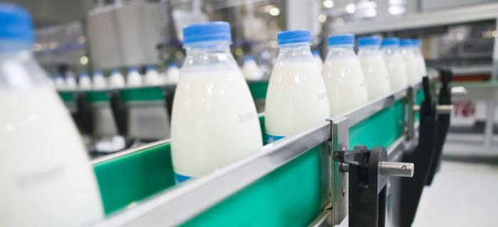 Milk Production